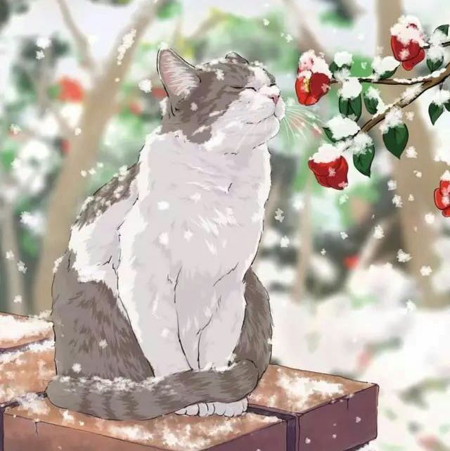 头像